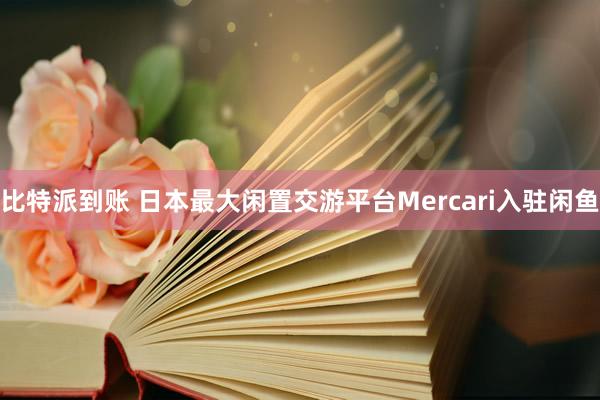 比特派到账 日本最大闲置交游平台Mercari入驻闲鱼
