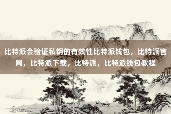 比特派会验证私钥的有效性比特派钱包，比特派官网，比特派下载，比特派，比特派钱包教程