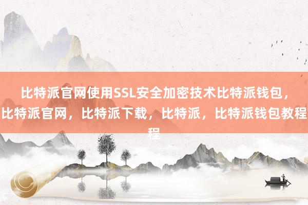 比特派官网使用SSL安全加密技术比特派钱包，比特派官网，比特派下载，比特派，比特派钱包教程