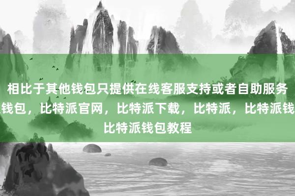 相比于其他钱包只提供在线客服支持或者自助服务比特派钱包，比特派官网，比特派下载，比特派，比特派钱包教程