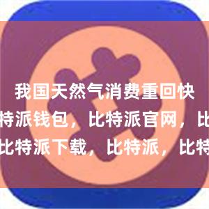 我国天然气消费重回快速增长比特派钱包，比特派官网，比特派下载，比特派，比特派钱包教程