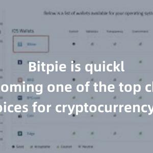 Bitpie is quickly becoming one of the top choices for cryptocurrency enthusiasts worldwide.比特派钱包，比特派官网，比特派下载，比特派，比特派钱包教程