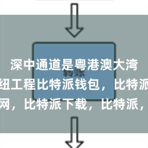 深中通道是粤港澳大湾区核心枢纽工程比特派钱包，比特派官网，比特派下载，比特派，比特派钱包教程