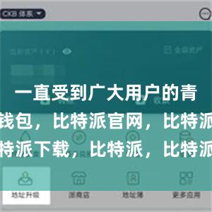 一直受到广大用户的青睐比特派钱包，比特派官网，比特派下载，比特派，比特派钱包教程